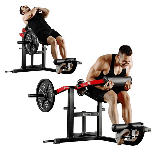 Seated AB Curl/ Back Extension Machine, Plate Loaded Machine with 450Lbs Weight Capacity, Home Gym for Core and Back Training